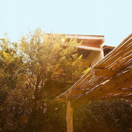 Casa Huijazoo Nature & Balance Ξενοδοχείο Mazunte Εξωτερικό φωτογραφία