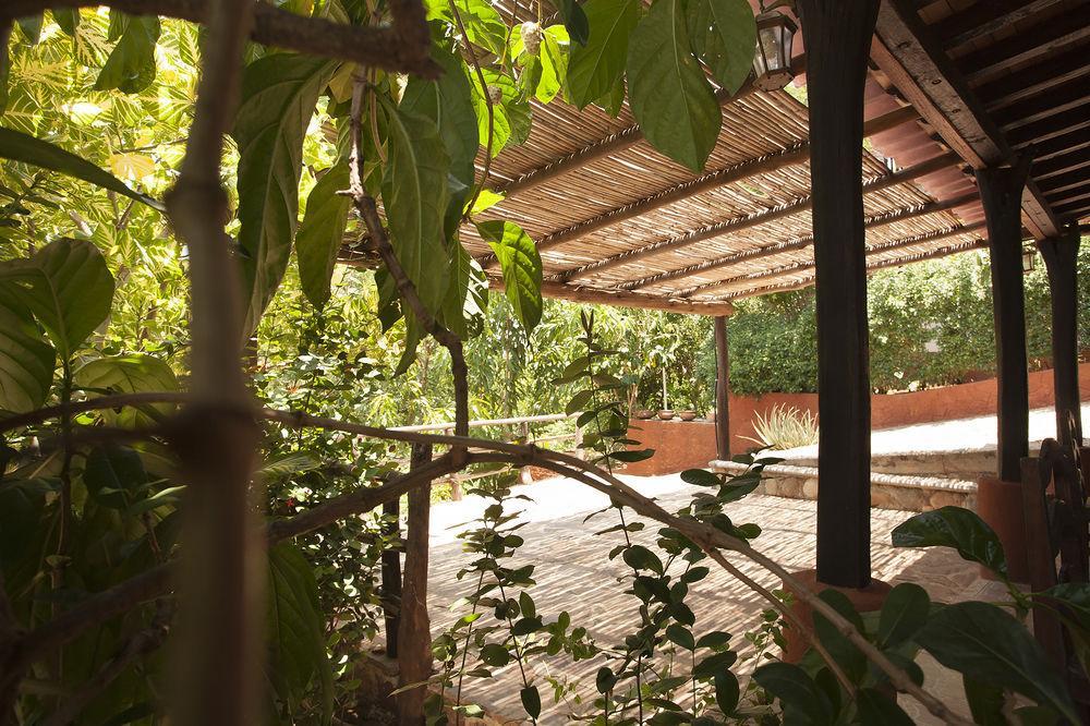 Casa Huijazoo Nature & Balance Ξενοδοχείο Mazunte Εξωτερικό φωτογραφία